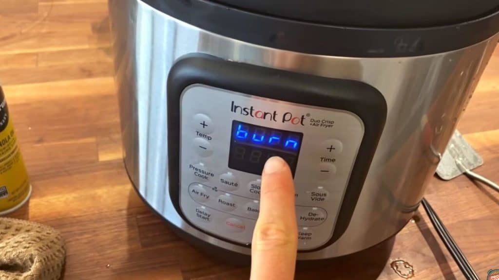 Instant Pot Air Fryer Troubleshooting Reasons & Solutions