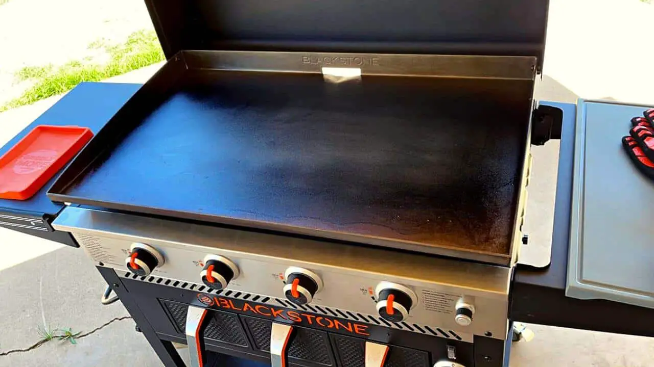 Is Your Blackstone Air Fryer Not Working? Here's What To Do