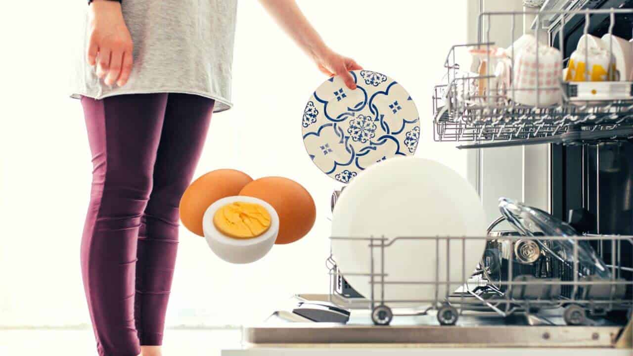 How To Get Rid Of Egg Smell In Dishwasher? Few Easy Steps