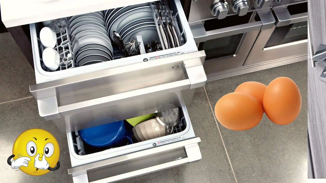 how to get rid of egg smell in dishwasher