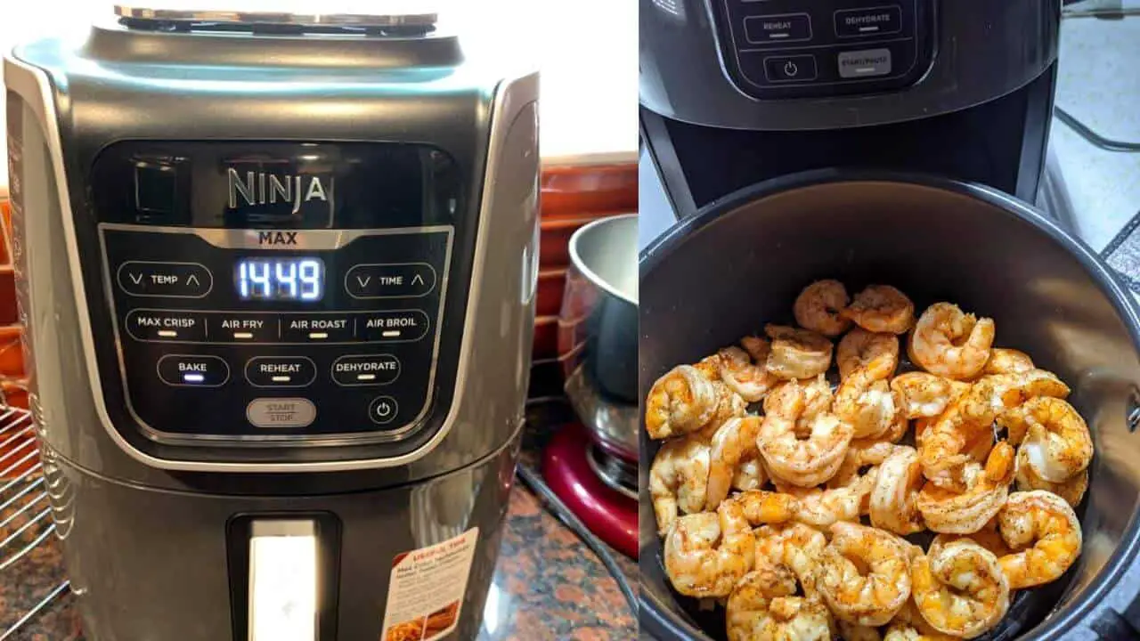 Ninja Air Fryer Cancer Warning Don't Ignore These Signs!
