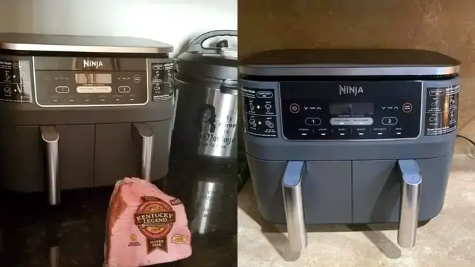 Why My Ninja Air Fryer Is Not Working